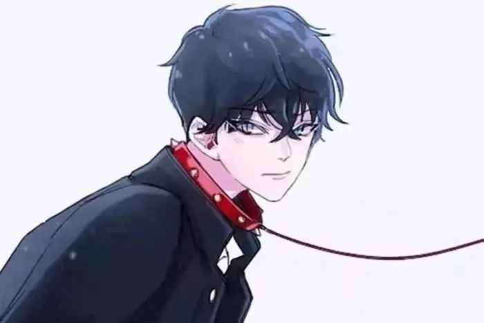 西檬之家TS文化解读:你了解其中的魅力吗? 一