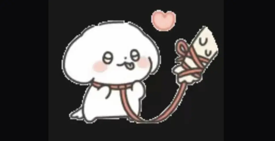 西檬之家k8猫系怎么玩?字母圈新人必看指南 一