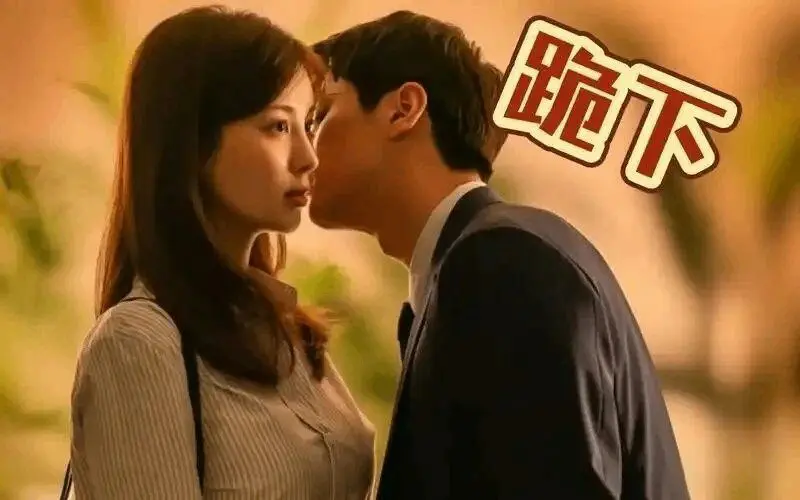 西檬之家k8猫系是什么?探索你的字母圈新属性 一