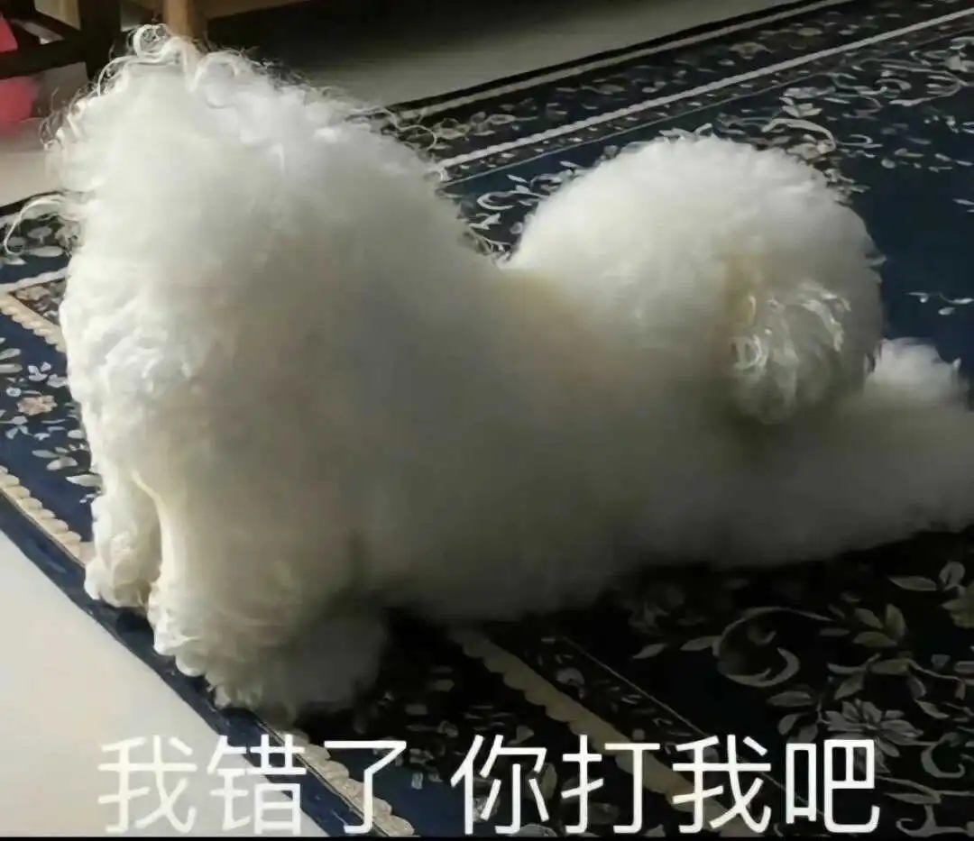 西檬之家k9是什么?了解字母圈中的这一独特角色 一