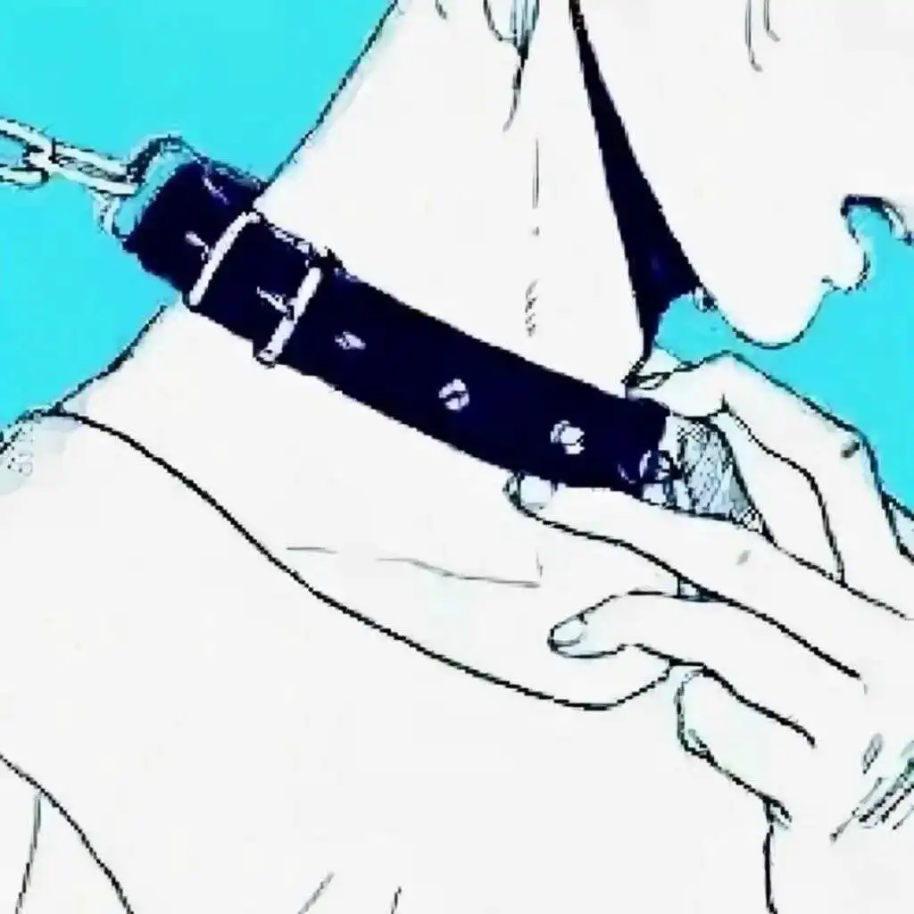 西檬之家CD是什么?字母圈新人必知的转变与探索 一