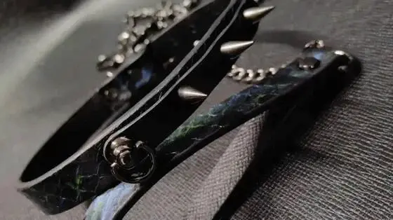 西檬之家字母圈的小圈是什么?新人必读的入圈指南 一