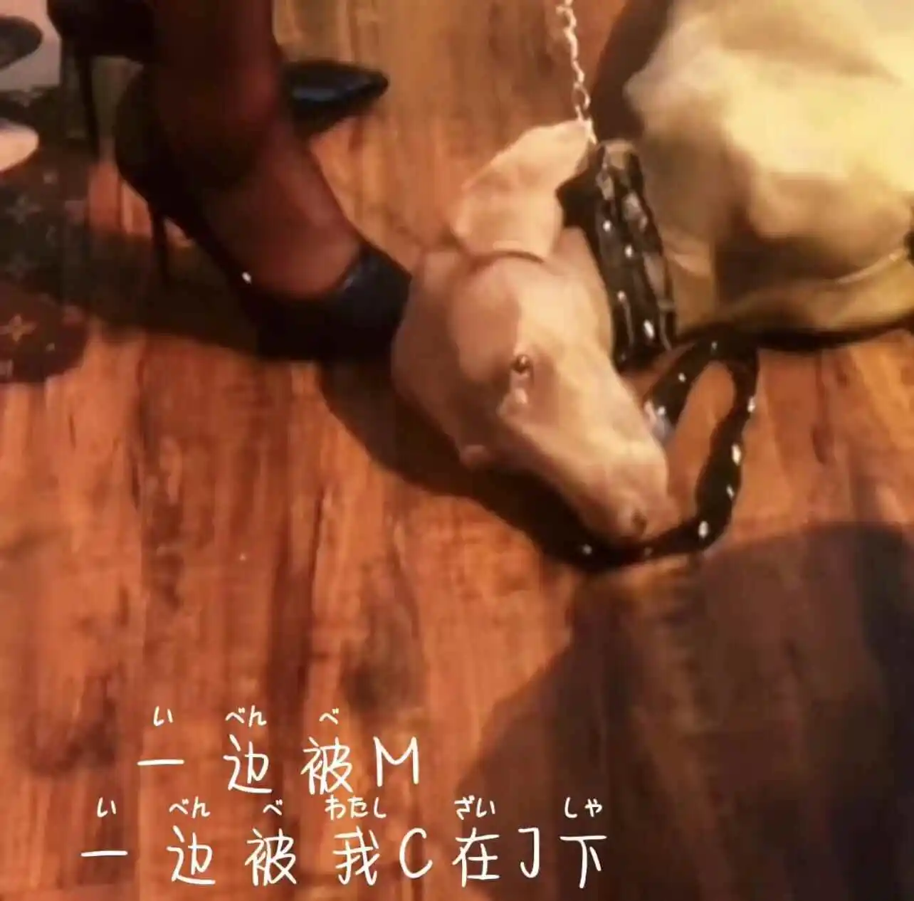 西檬之家圣水是什么?字母圈新人必看 一