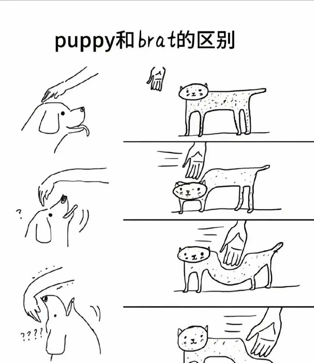 西檬之家字母圈的大圈是什么?新人如何融入 一