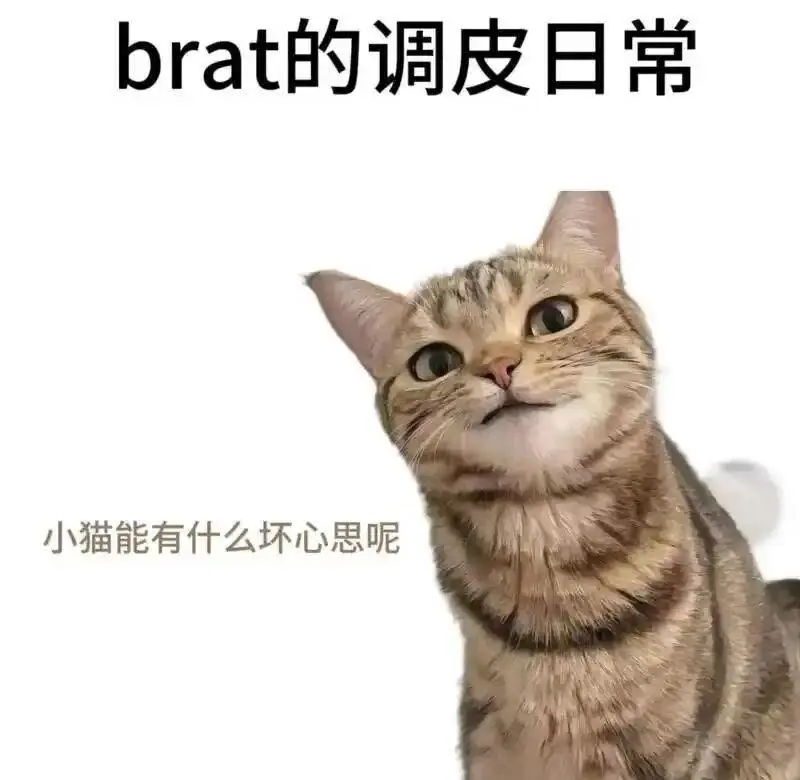 西檬之家ddlg是什么?探索你的字母圈属性 一