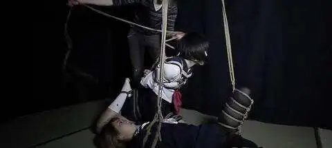 西檬之家BDSM入圈怎么开始?字母圈新人指南 一