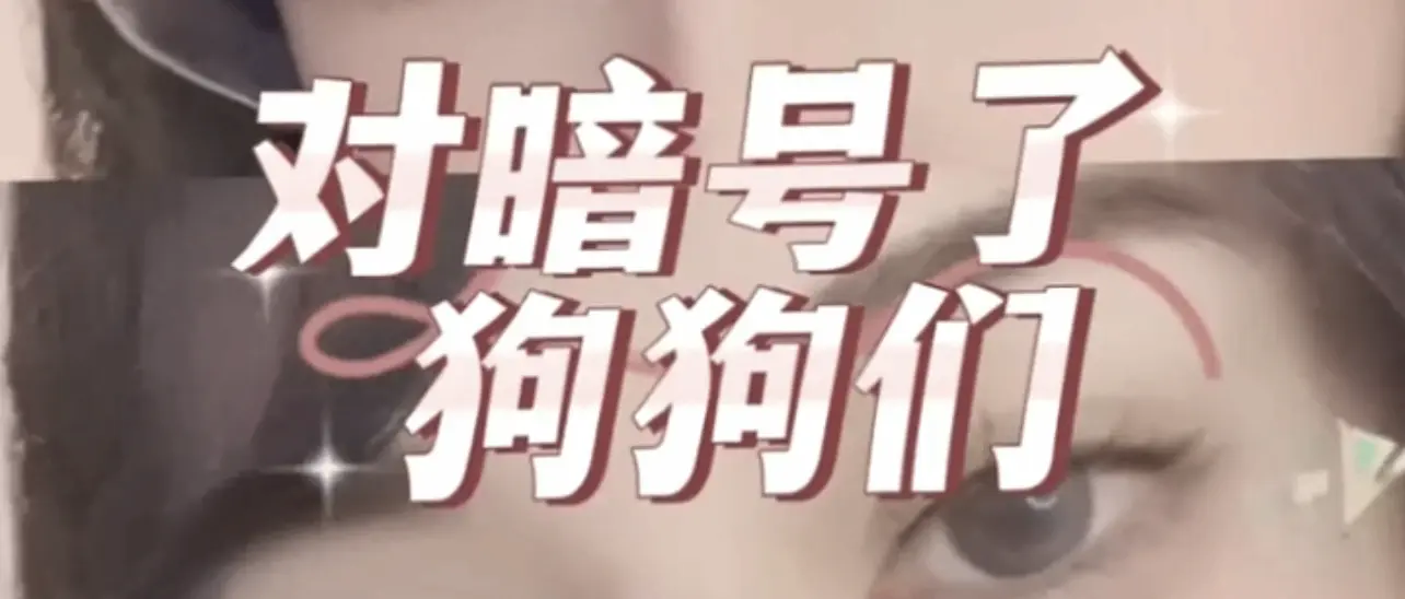 西檬之家dirty talk是什么?字母圈新人入门 一