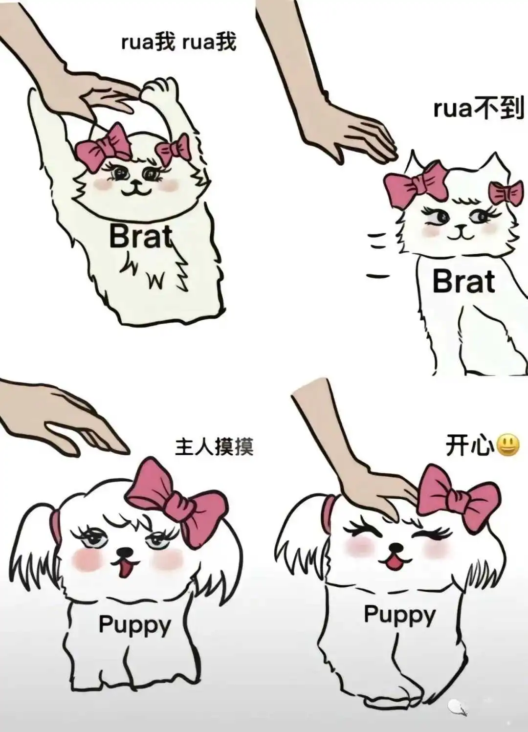 西檬之家字母圈的DOM如何确立? 一