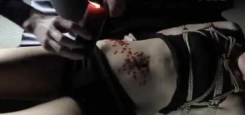 西檬之家字母圈新人如何入门? 一