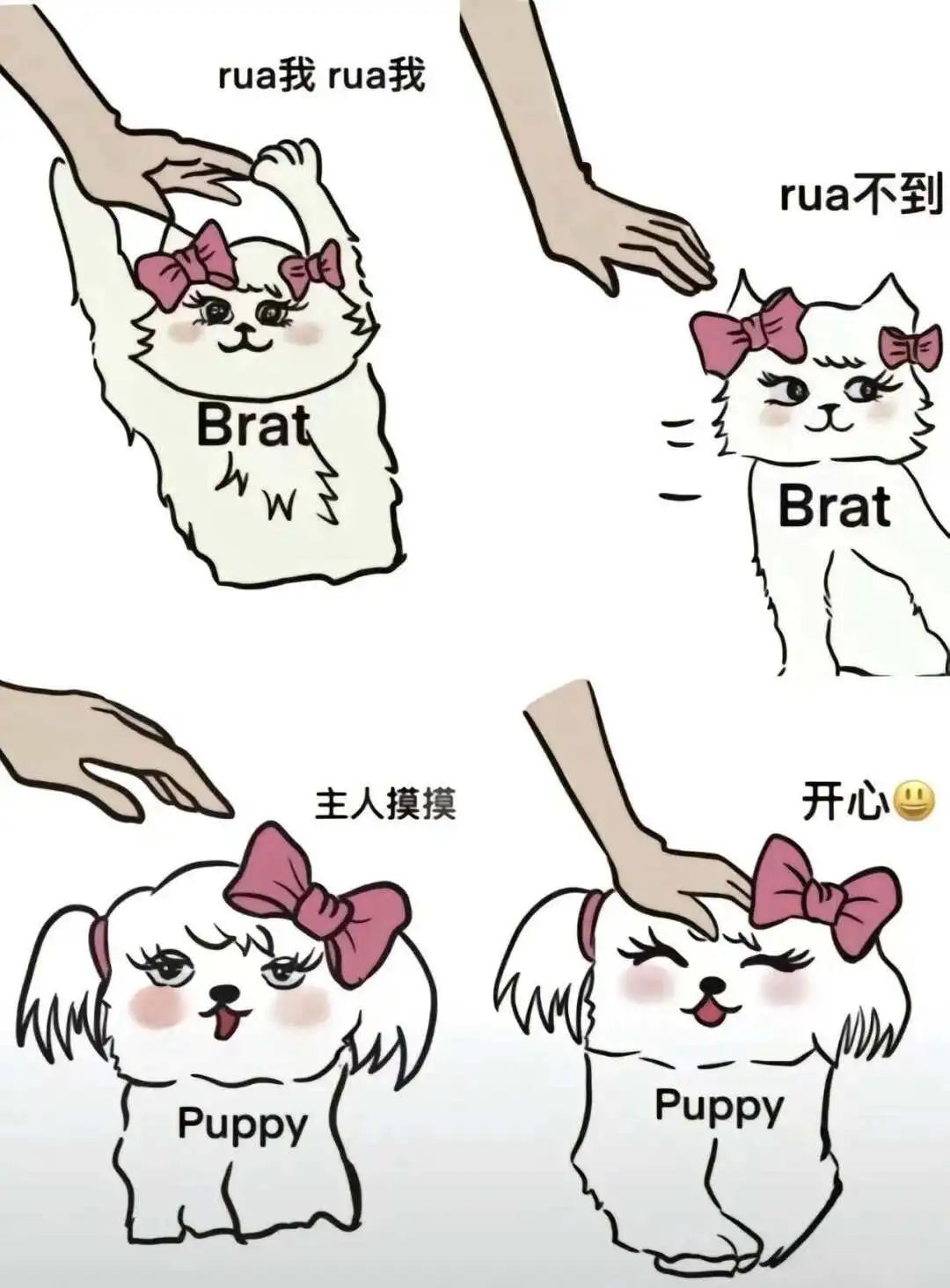 西檬之家k9是什么?字母圈新人必看 一