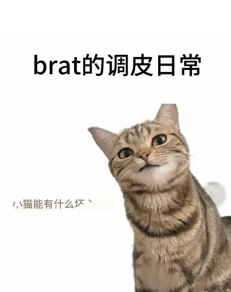 西檬之家Brat属性是什么? 一